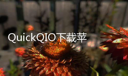 QuickQIO下载苹果版：提升效率，体验极致快捷生活
